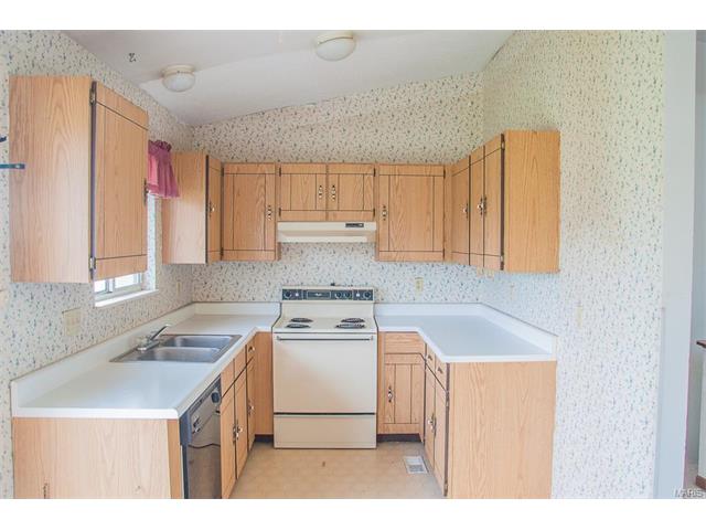1329 Half Moon Dr, O'fallon, MO 63366 photo 6