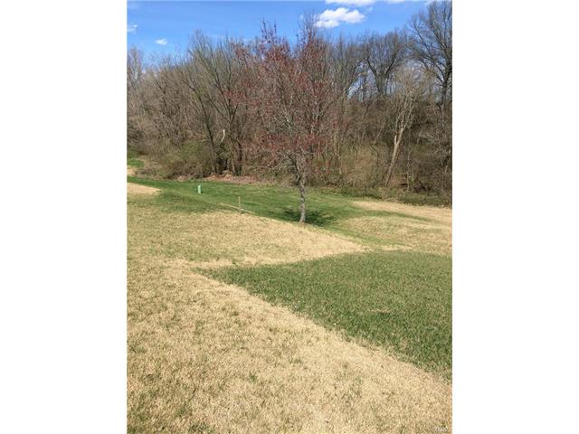 21 Fawn Meadows Dr, Eureka, MO 63025 photo 3
