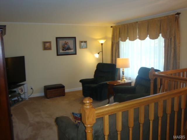 934 Barbara Ann Ln, Ellisville, MO 63021 photo 3