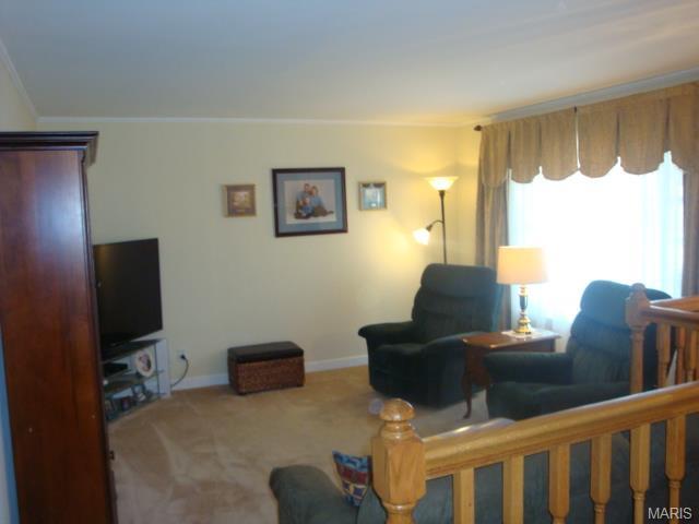 934 Barbara Ann Ln, Ellisville, MO 63021 photo 21