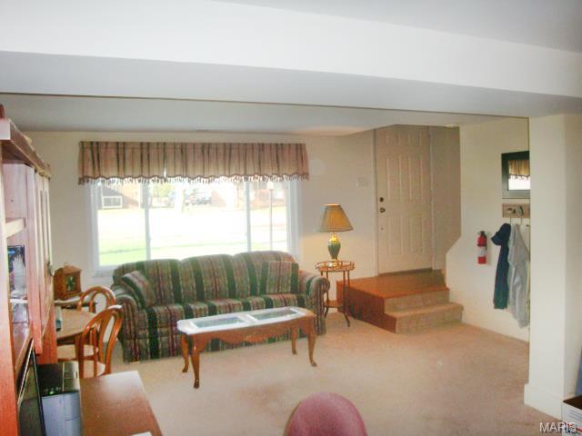 934 Barbara Ann Ln, Ellisville, MO 63021 photo 12
