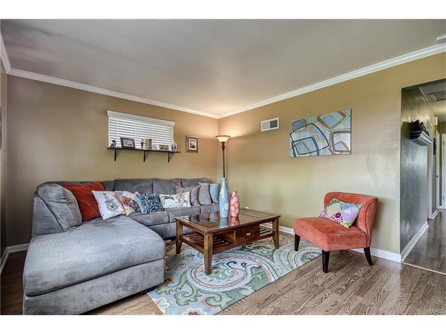 216 Lakeside Dr, Winchester, MO 63021 photo 4