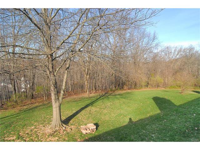 849 Woodside Trl, Ballwin, MO 63021 photo 20