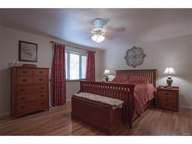 671 Henry Ave, Ballwin, MO 63011 photo 20