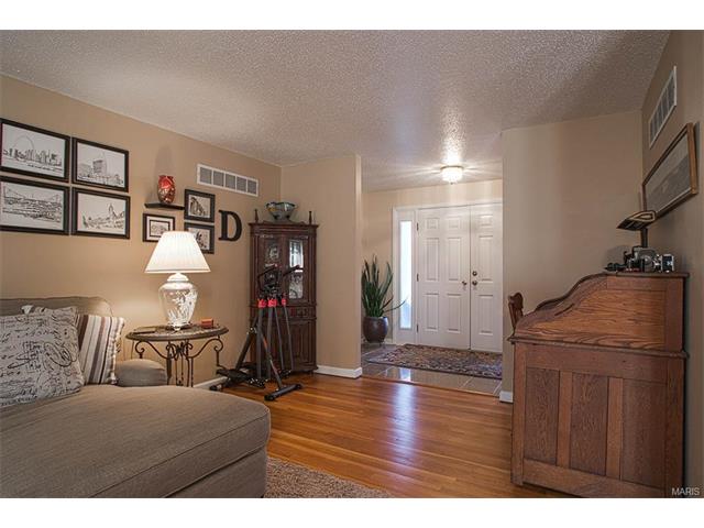 671 Henry Ave, Ballwin, MO 63011 photo 19