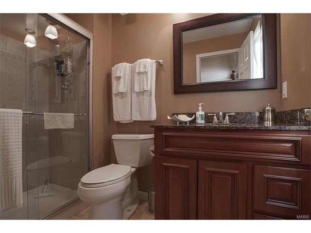671 Henry Ave, Ballwin, MO 63011 photo 22