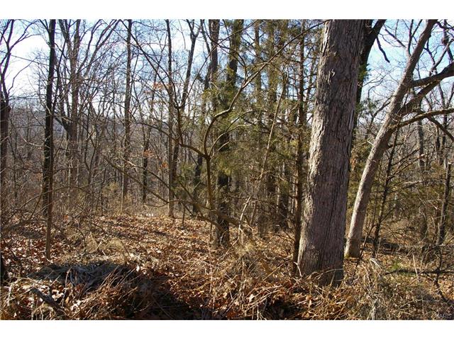 640 Strecker, Ballwin, MO 63011 photo 8