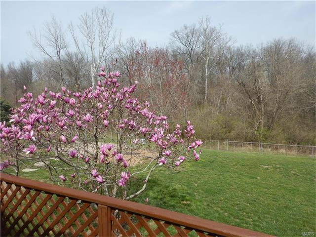 19 Fawn Meadows Dr, Eureka, MO 63025 photo 4