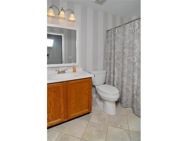 1120 Oak Borough, Ballwin, MO 63021 photo 24