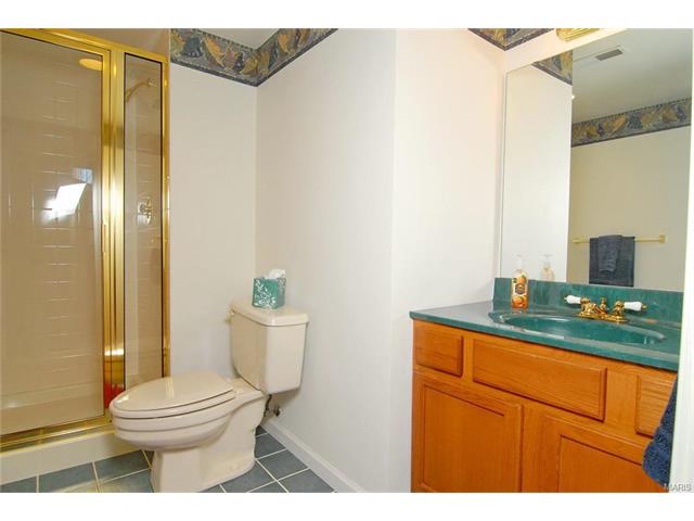1120 Oak Borough, Ballwin, MO 63021 photo 31