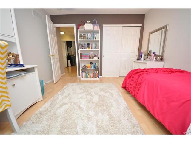 4 Briarcastle Ct, O'fallon, MO 63366 photo 26