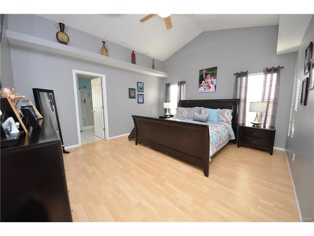 4 Briarcastle Ct, O'fallon, MO 63366 photo 19