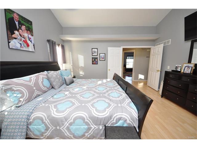 4 Briarcastle Ct, O'fallon, MO 63366 photo 23