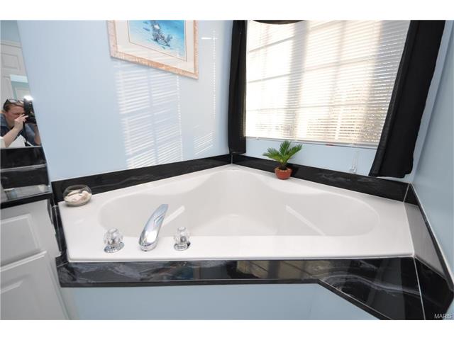 4 Briarcastle Ct, O'fallon, MO 63366 photo 21