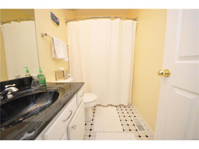4 Briarcastle Ct, O'fallon, MO 63366 photo 25