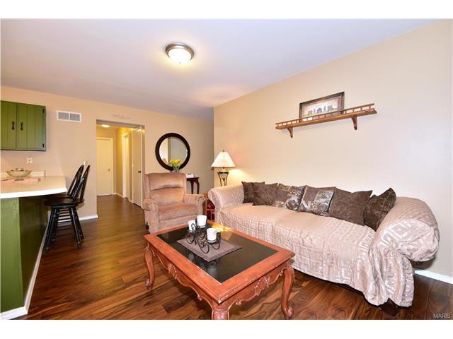 22 Jakes Ct, O'fallon, MO 63366 photo 2