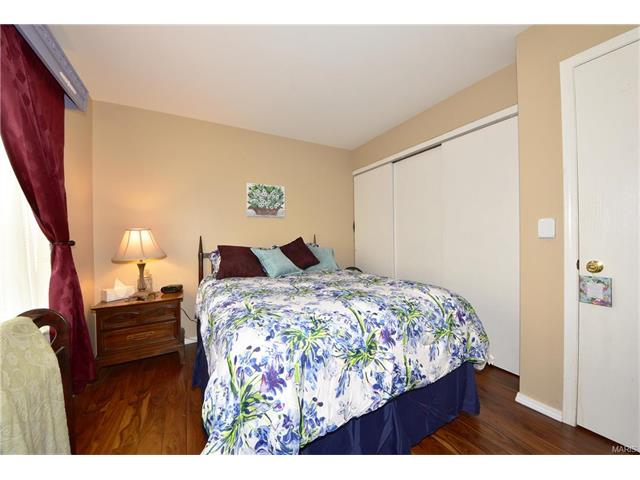 22 Jakes Ct, O'fallon, MO 63366 photo 17