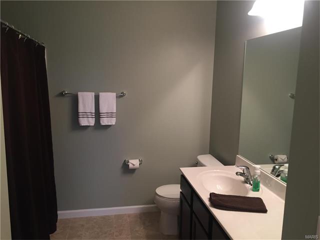 64 White Brook Ct, O'fallon, MO 63366 photo 13