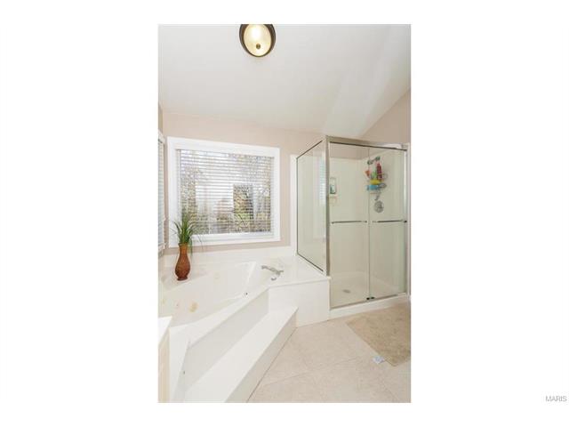 23 Rathsallagh Ct, Weldon Spring, MO 63304 photo 47
