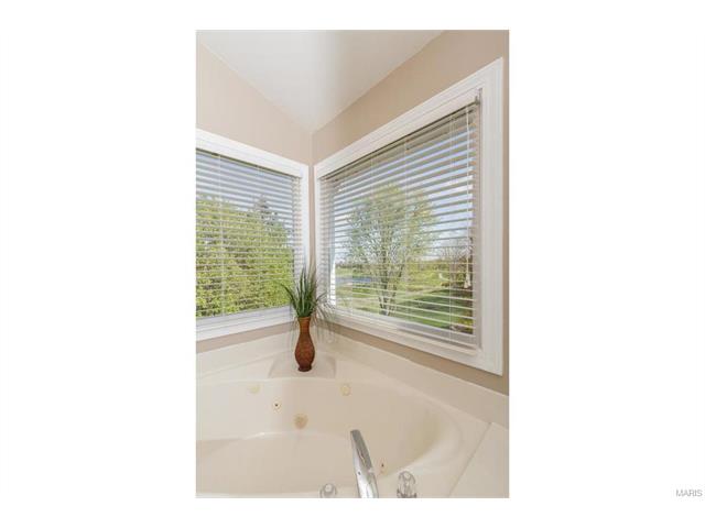 23 Rathsallagh Ct, Weldon Spring, MO 63304 photo 46
