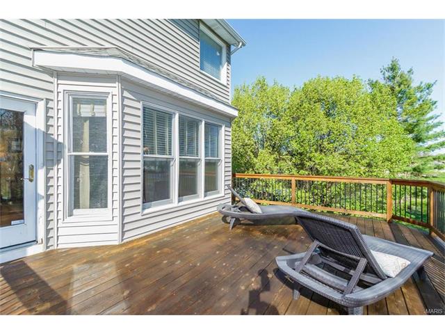 23 Rathsallagh Ct, Weldon Spring, MO 63304 photo 16