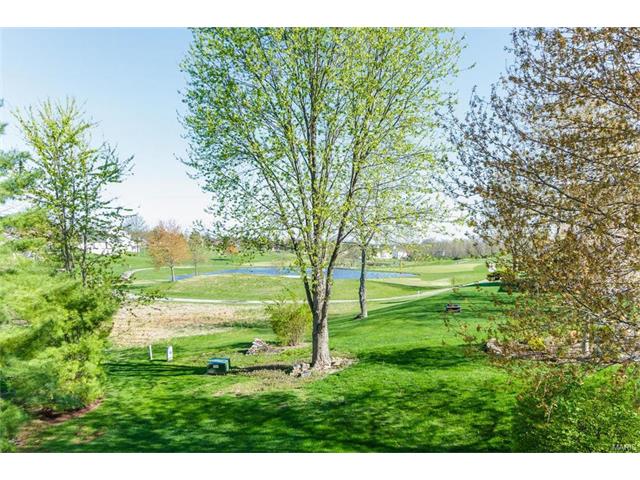 23 Rathsallagh Ct, Weldon Spring, MO 63304 photo 17