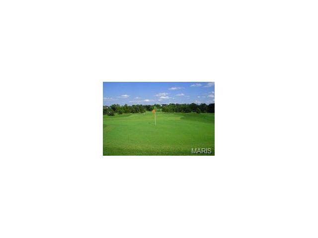23 Rathsallagh Ct, Weldon Spring, MO 63304 photo 80
