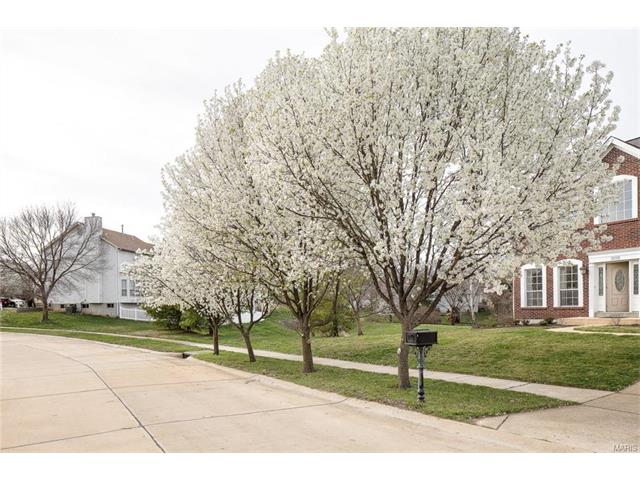 2323 Kingstowne Way Ct, Wildwood, MO 63011 photo 27