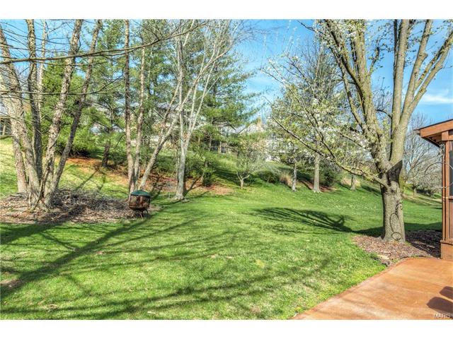 511 Shadow Mountain Ct, Wildwood, MO 63011 photo 43