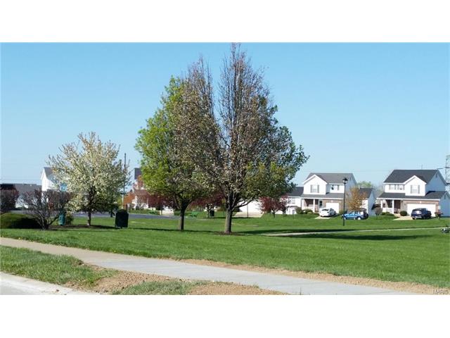 664 Homerun, O'fallon, MO 63366 photo 16