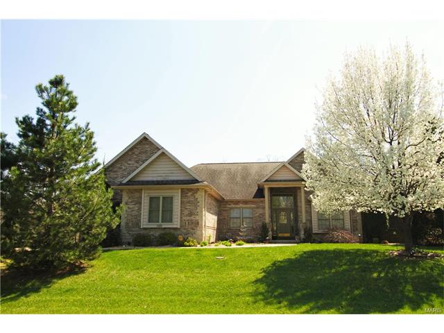 1101 Highgate Dr, Festus, MO 63028 photo 1