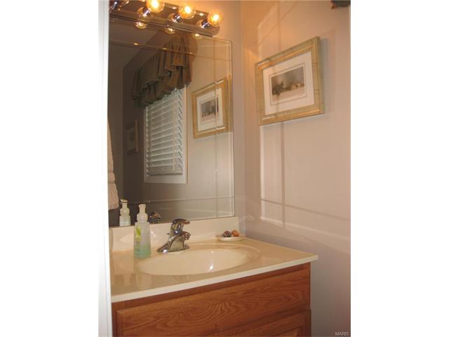 215 Lark Hill Ln, Ballwin, MO 63021 photo 23