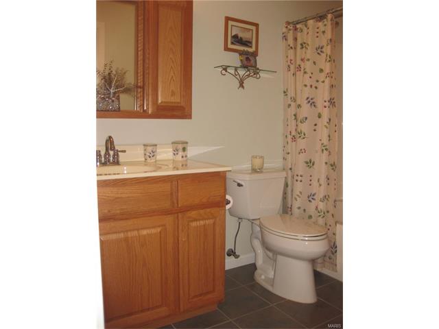 215 Lark Hill Ln, Ballwin, MO 63021 photo 13