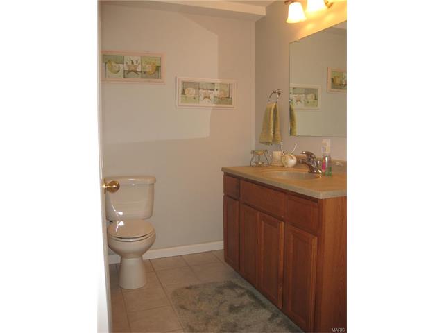 215 Lark Hill Ln, Ballwin, MO 63021 photo 30