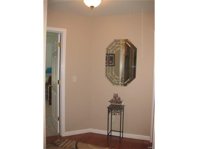 215 Lark Hill Ln, Ballwin, MO 63021 photo 12