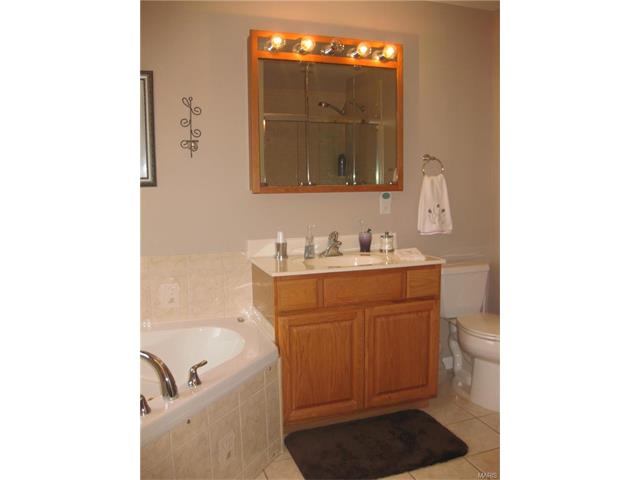 215 Lark Hill Ln, Ballwin, MO 63021 photo 20