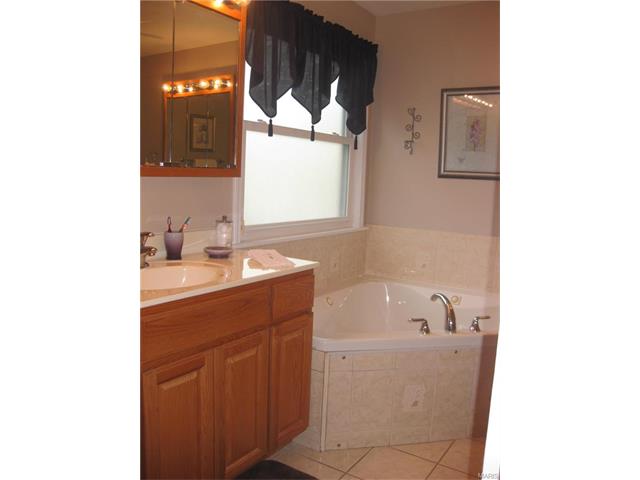 215 Lark Hill Ln, Ballwin, MO 63021 photo 17