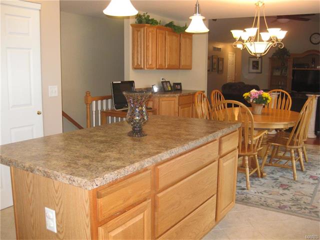 215 Lark Hill Ln, Ballwin, MO 63021 photo 4