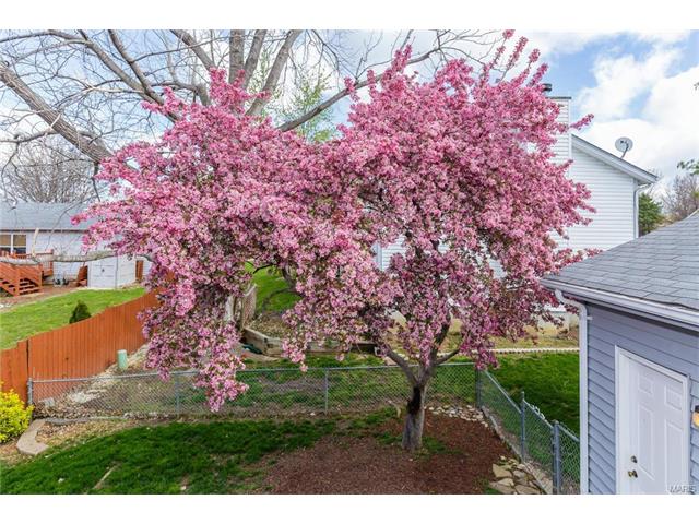 2511 Amarillo Dr, O'fallon, MO 63368 photo 23