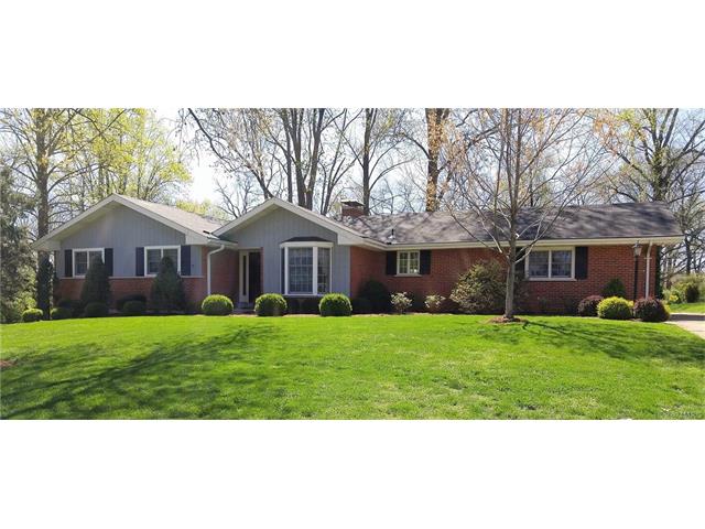 10530 Renwick, Sappington, MO 63128 photo 1