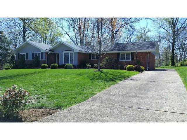 10530 Renwick, Sappington, MO 63128 photo 25
