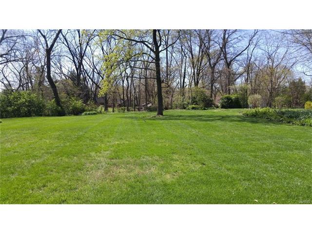 10530 Renwick, Sappington, MO 63128 photo 21