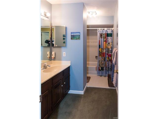 346 Stablestone, Chesterfield, MO 63017 photo 56