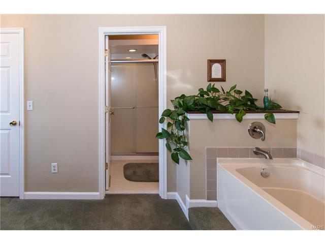 346 Stablestone, Chesterfield, MO 63017 photo 61