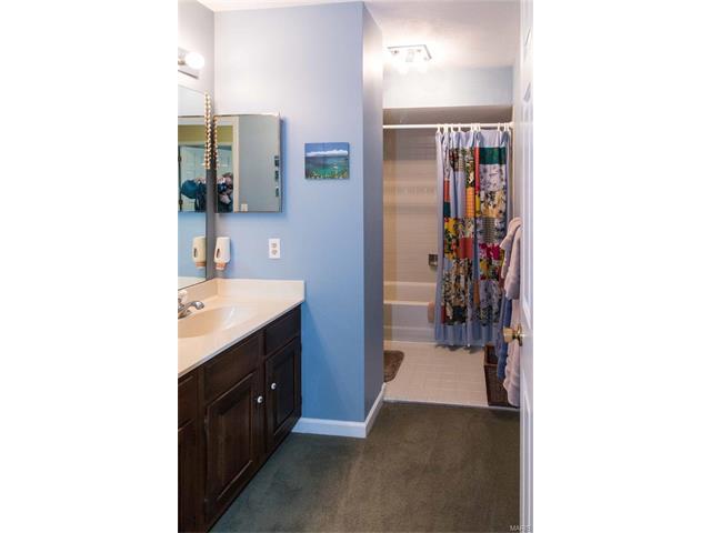 346 Stablestone, Chesterfield, MO 63017 photo 47