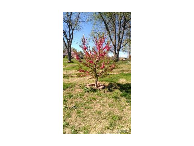 3068 Smiley Rd, Bridgeton, MO 63044 photo 2