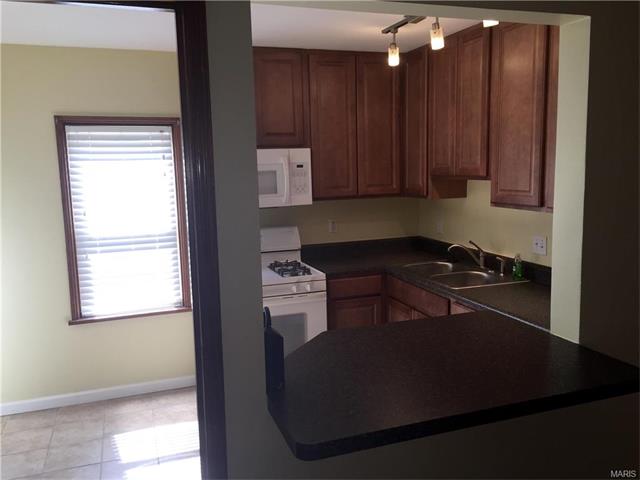 7154 Sharp Ave, Saint Louis, MO 63116 photo 7