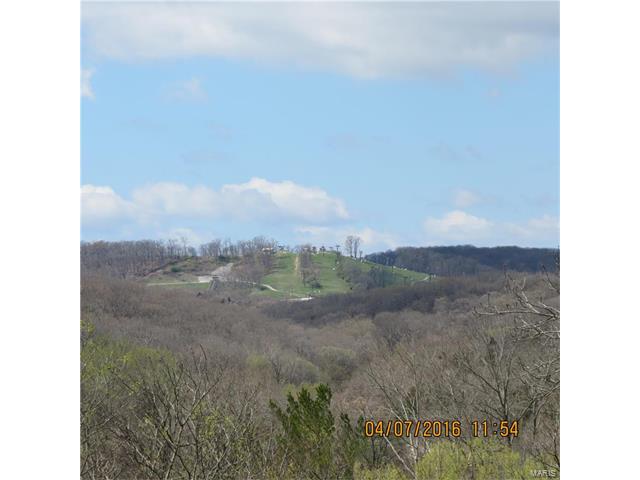 310 Keys, Glencoe, MO 63038 photo 21