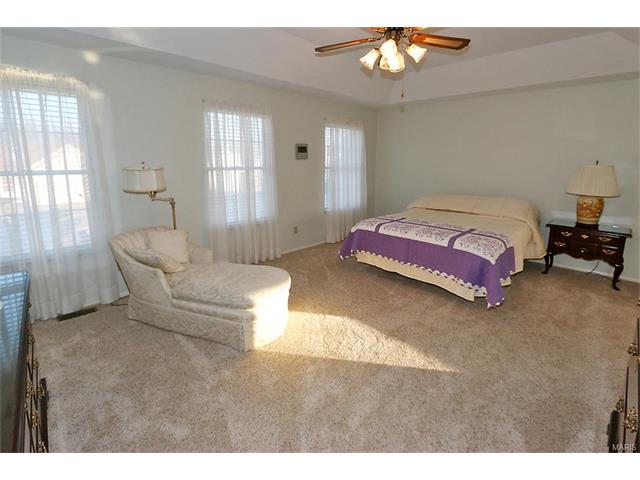 7248 Watsons Parish Dr, O'fallon, MO 63368 photo 32