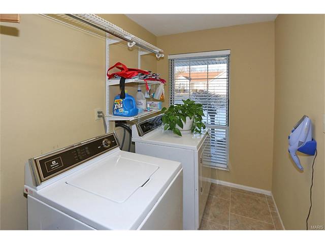 7248 Watsons Parish Dr, O'fallon, MO 63368 photo 44